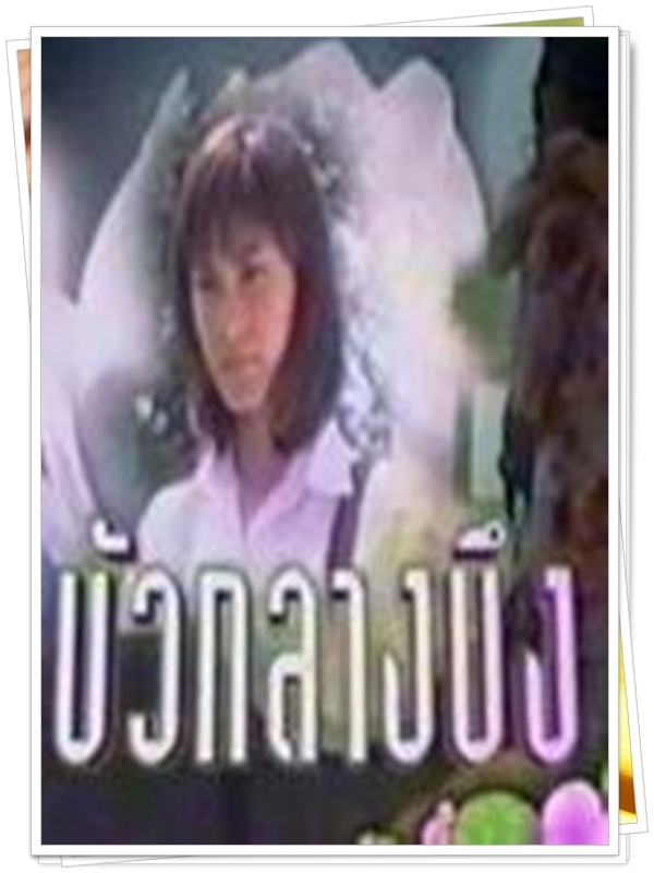 บัวกลางบึง  …5 DVD.