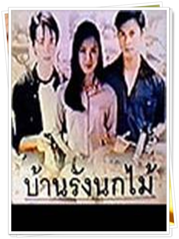 บ้านรังนกไม้ …5 DVD