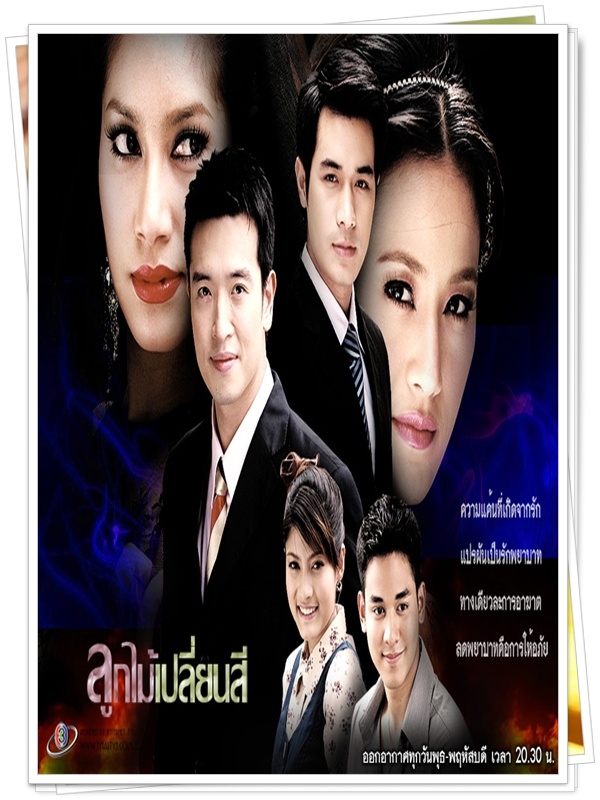 ลูกไม้เปลี่ยนสี …5 DVD