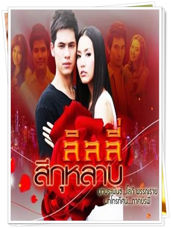 ลิลลี่สีกุหลาบ 4 DVD