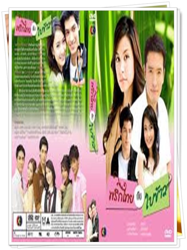 พริกไทยกับใบข้าว 3 DVD  (ชาย ชาติโยดม + วิกกี้ สุนิสา + แต้ว ณฐพร )