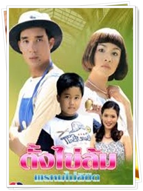 ตั้งไข่ล้มพรหมไม่ได้ลิขิต  4 DVD