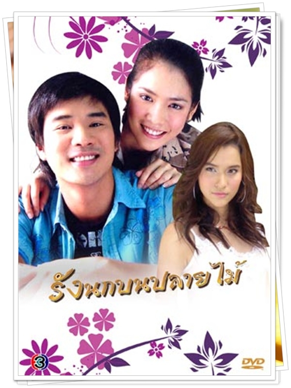 รังนกบนปลายไม้ 4 DVD