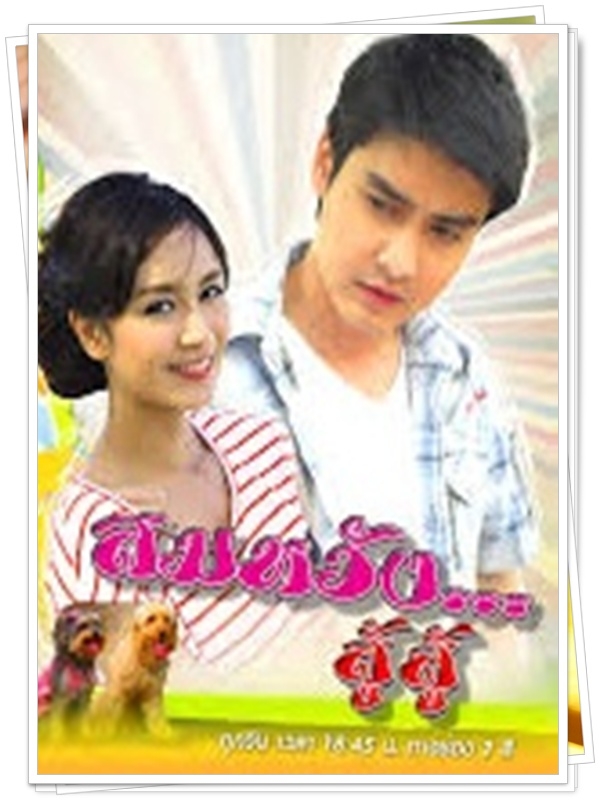 สมหวังสู้สู้  4 DVD