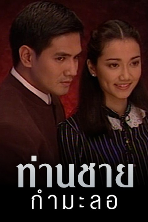 ท่านชายกำมะลอ 9 DVD  (จักรกฤษณ์ + ตุ๊ก จันจิรา + ปูเป้ รามาวดี + เชอรี่ เข็มอัปสร )